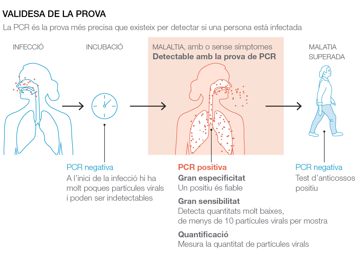 Validez de a prueba de PCR para la covid-19: en qué fase de la enfermedad es válida.