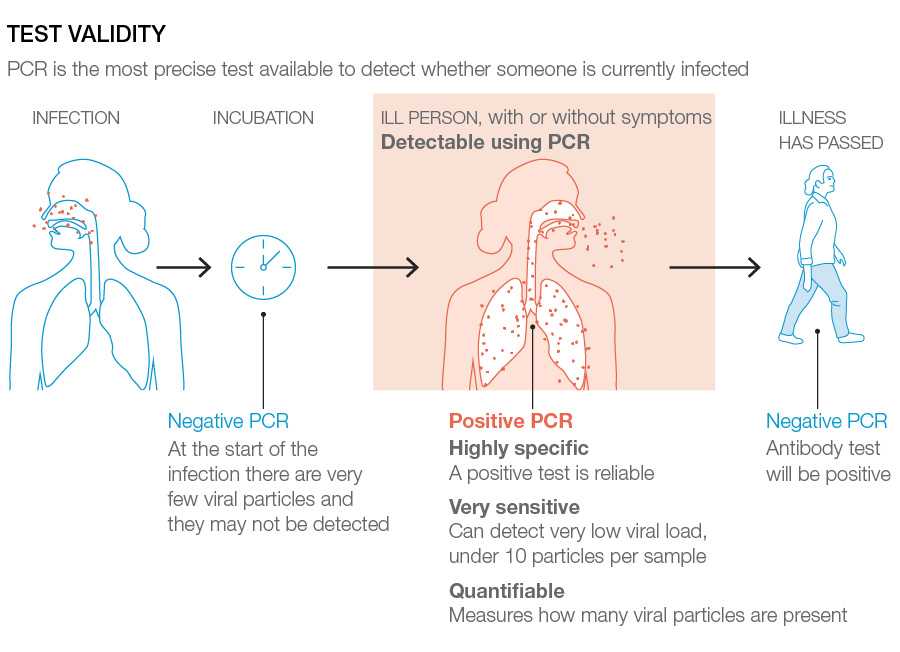 Validez de a prueba de PCR para la covid-19: en qué fase de la enfermedad es válida.