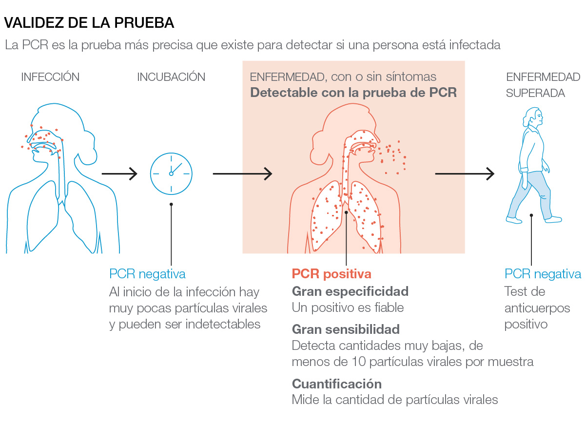 Validez de a prueba de PCR para la covid-19: en qué fase de la enfermedad es válida.