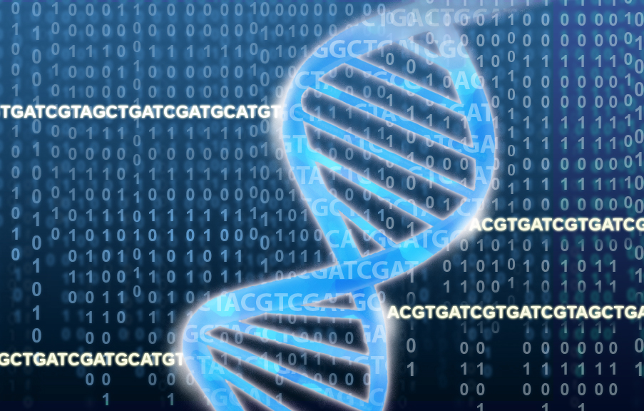 DNA genome data