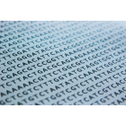 DNA Sequence by FreePik